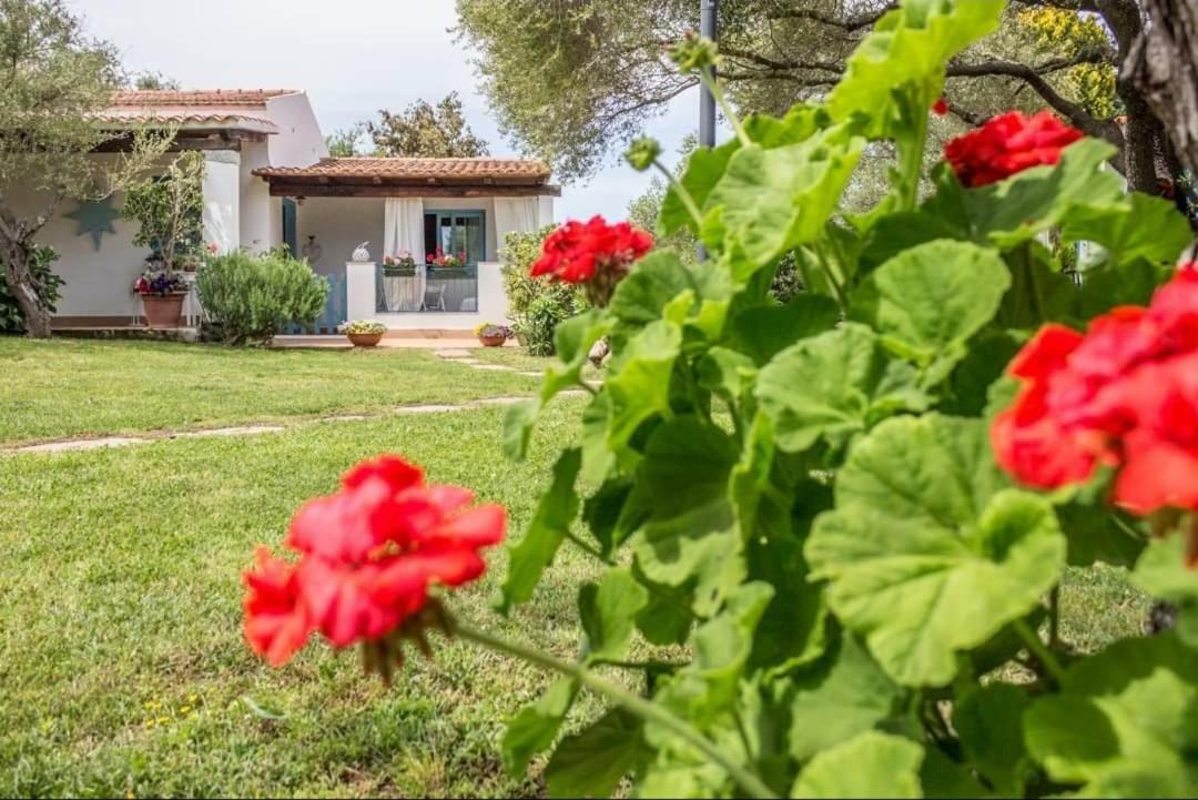 Il Falco Casa Vacanze - Cugnana - Porto Rotondo 외부 사진