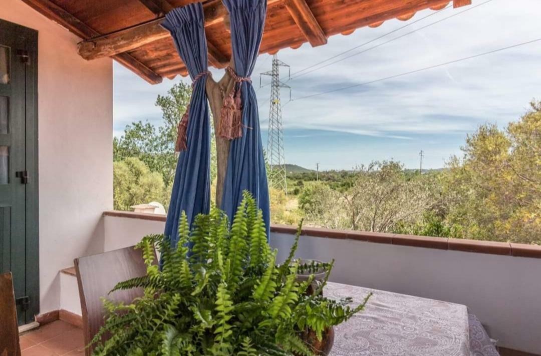 Il Falco Casa Vacanze - Cugnana - Porto Rotondo 외부 사진